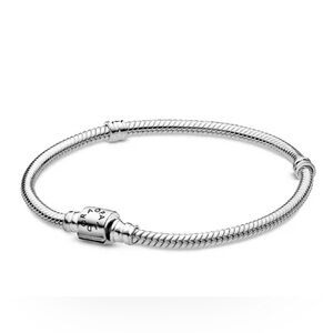 Pandora bracelet